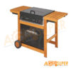 barbecue campingaz