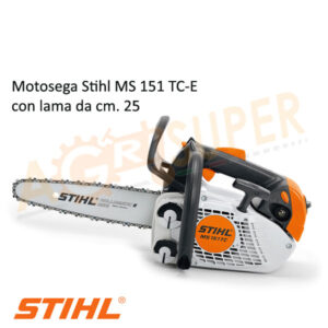 Motosega Stihl prezzo offerta